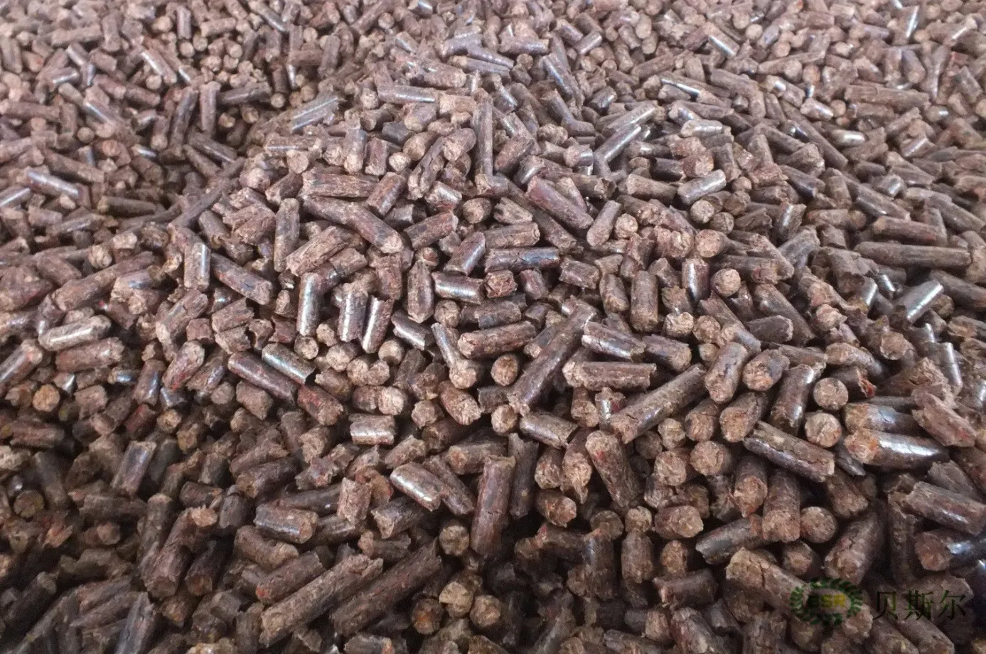 Gỗ nén dạng viên là vật liệu lót chuồng có khả năng hút ẩm và khử mùi tốt, alt tối ưu gỗ nén lót chuồng cho chuột chuột hamster