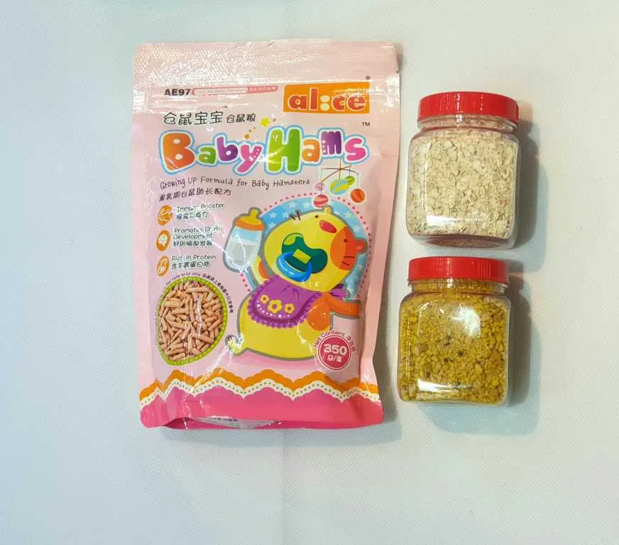 Hamster đang ăn hạt hướng dương trong môi trường nuôi nhốt