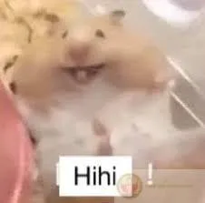 Hamster meme cute xuất hiện trong ảnh chế khiến cộng đồng thích thú