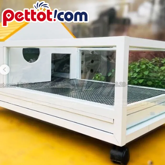 Hamster Syrie lớn đang cắn thanh chuồng kim loại, minh họa hành vi gặm nhấm cần khắc phục.