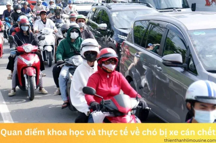 Hình ảnh chú chó con thân thiện, biểu tượng trong giải mã số đề dân gian.