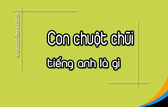 Hình ảnh chuột chũi (mole) đang đào hang dưới lòng đất, minh họa cho allintitle:chuột chũi tiếng anh là gì