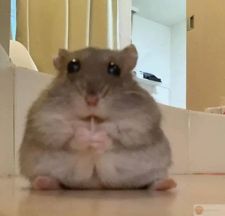 Hình ảnh chuột nhỏ dễ dàng làm không khí trò chuyện sôi động