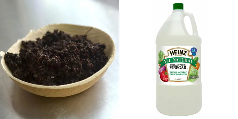Hình ảnh đặt một cốc giấm và một bát bã cà phê, hai chất hút khử mùi hôi tự nhiên hiệu quả