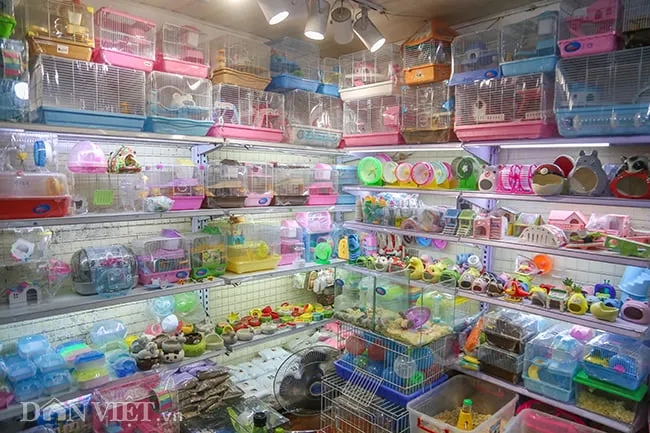 Hình ảnh lồng nuôi và phụ kiện cơ bản cho chuột Hamster