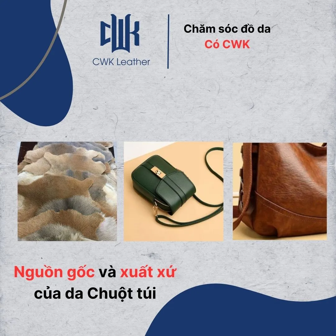 Hình ảnh minh họa đàn chuột túi sinh sống tại Úc, nguồn gốc của loại da đặc biệt được thu hoạch theo quy định nghiêm ngặt
