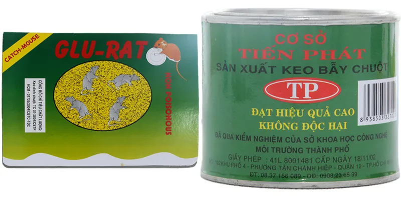 Hình ảnh vệ sinh và dọn dẹp khu vực bếp sạch sẽ, không để lại thức ăn thừa thu hút chuột