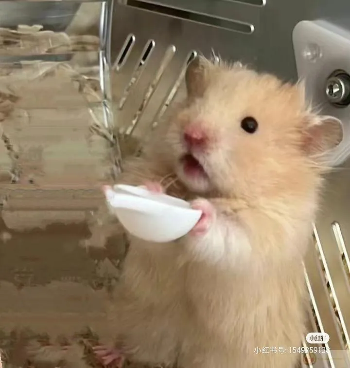 Hình ảnh vui nhộn này giúp bạn có thêm nhiều khoảnh khắc giải trí thú vị