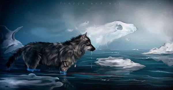 Hình chó sói xám đang đi săn, hình ảnh động vật hoang dã chân thực