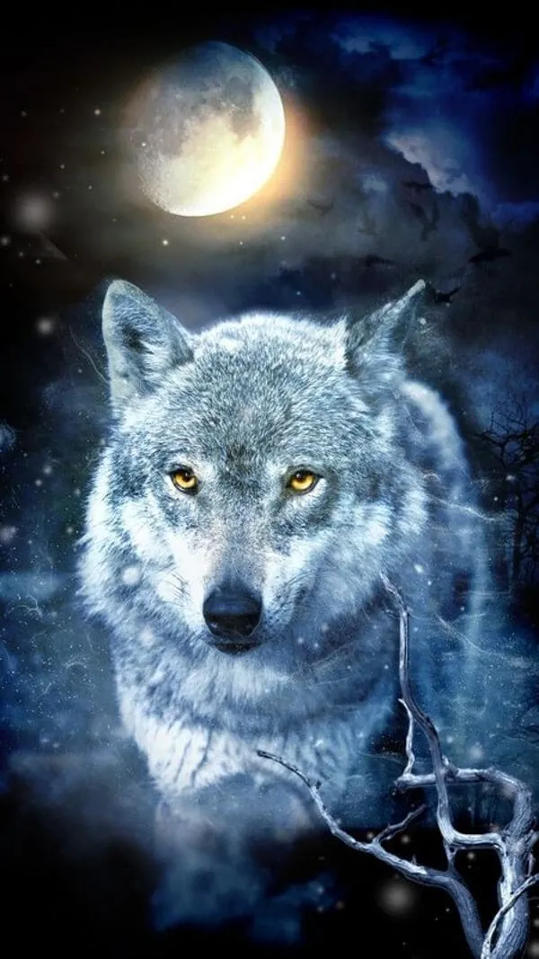 Hình nền sói cô đơn đứng dưới bầu trời tối, thể hiện sự kiên cường, cá tính mạnh