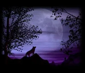 Hình nền sói hú dưới trăng đẳng cấp, tối ưu cho màn hình độ nét cao