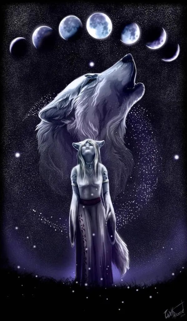 Hình sói đêm đen bí ẩn, hòa mình vào bóng tối