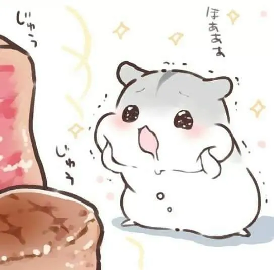 Hình vẽ chibi chuột hamster ngồi trên đồ chơi
