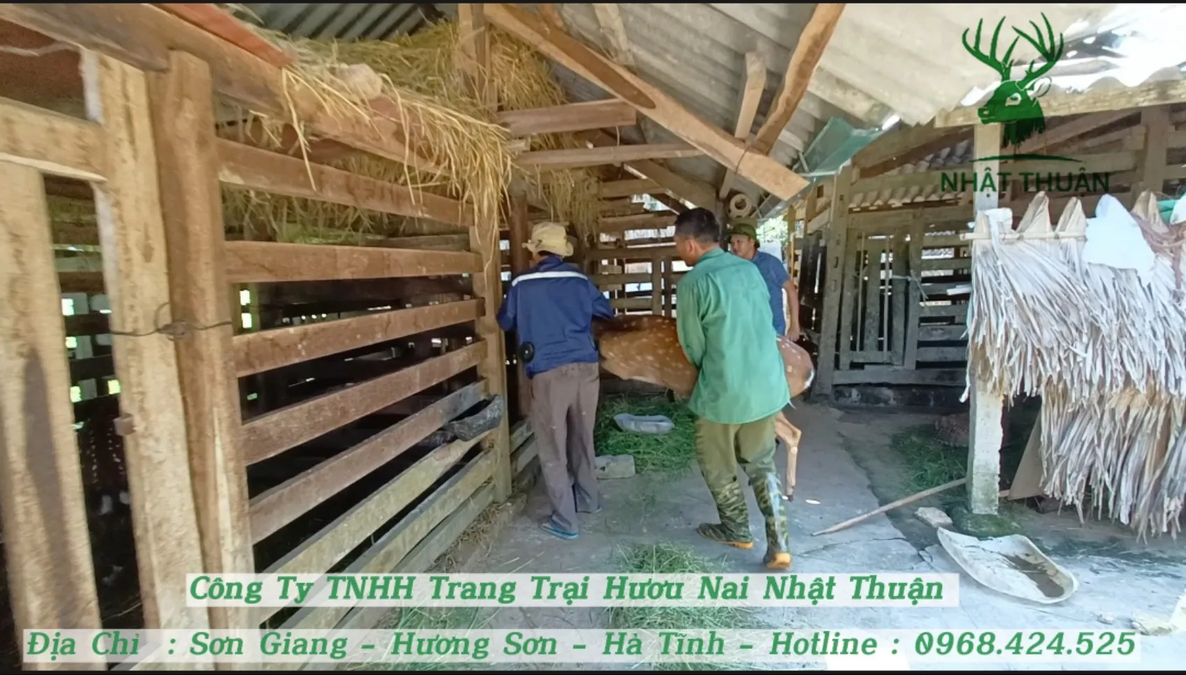 Hỗ trợ vận chuyển con giống về tận nhà