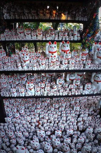 Hoa mắt vì đủ mọi kích cỡ mèo thần tài cute