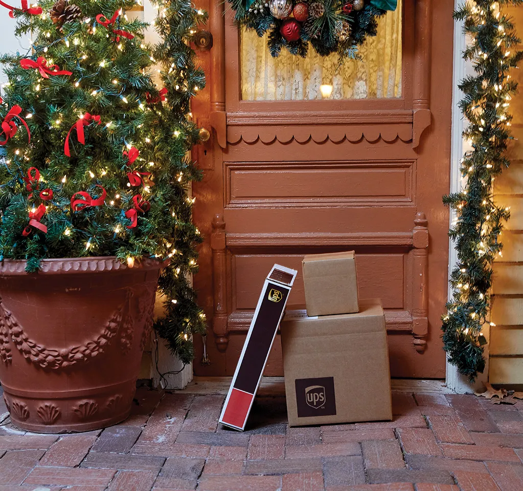 Dịch Vụ Bắt Mèo Hoang Chuyên Nghiệp & Nhân Đạo