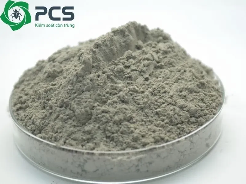 Hộp mồi bả đặt trong góc tối, thể hiện việc kiểm soát chuột bằng phương pháp chuyên nghiệp, đặt mồi dẫn dụ và chất kết dính an toàn