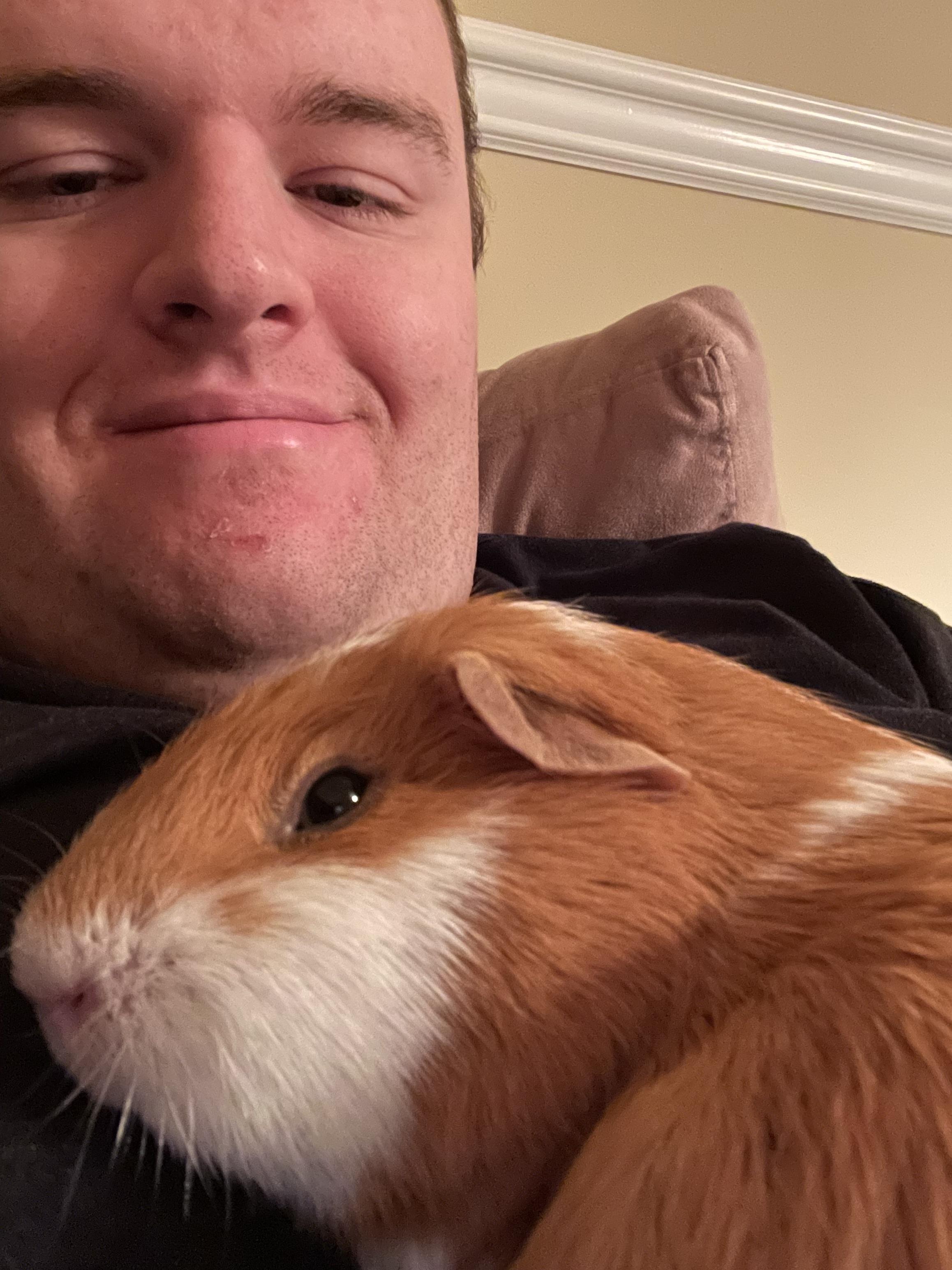 Chuột Hamster Có Thai: Dấu Hiệu, Thời Gian Mang Thai Và Chăm Sóc Đúng Cách