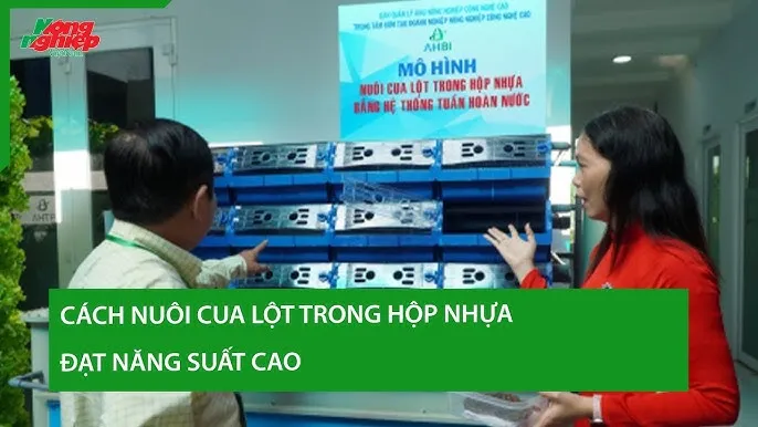 Cách Nuôi Cua Đồng Giống Thành Công Và Đạt Năng Suất Cao