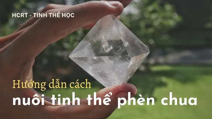 Hướng Dẫn Chi Tiết Cách Nuôi Tinh Thể Phèn Chua Tại Nhà