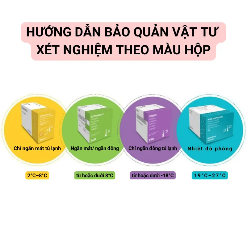 Công Ty Nhập Khẩu Thức Ăn Chó Mèo Uy Tín Tại TP.HCM
