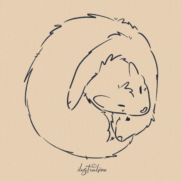 Con Chuột Nhắt – Đặc Điểm Sinh Học Và Các Biện Pháp Kiểm Soát Hiệu Quả