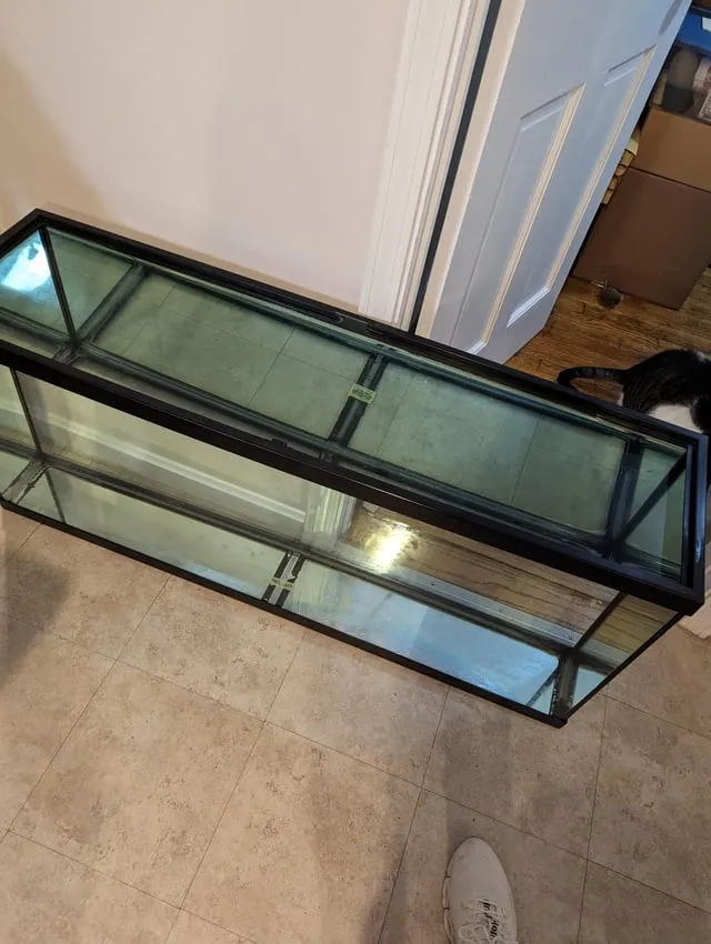 Thanh Lý Chuột Hamster: Hướng Dẫn Chi Tiết Và Quy Trình Tìm Chủ Mới