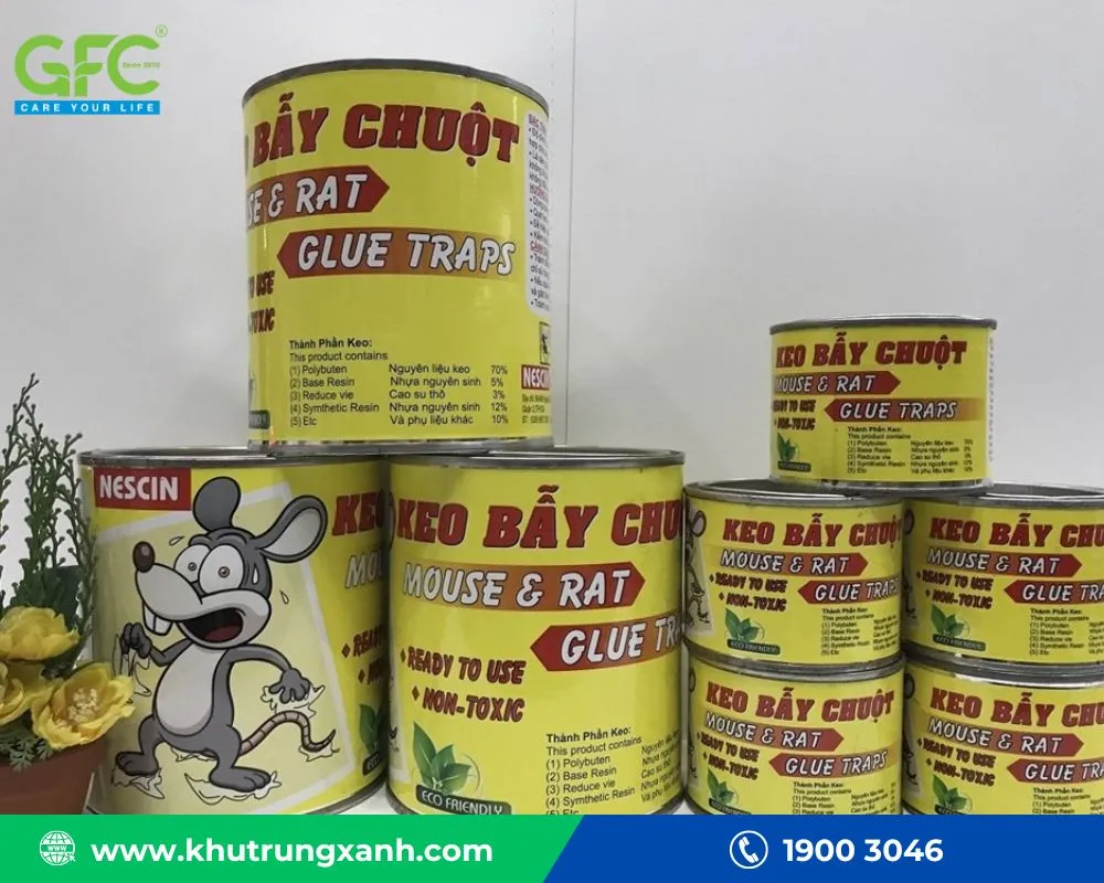 Keo dính chuột là phương pháp bẫy vật lý hiệu quả