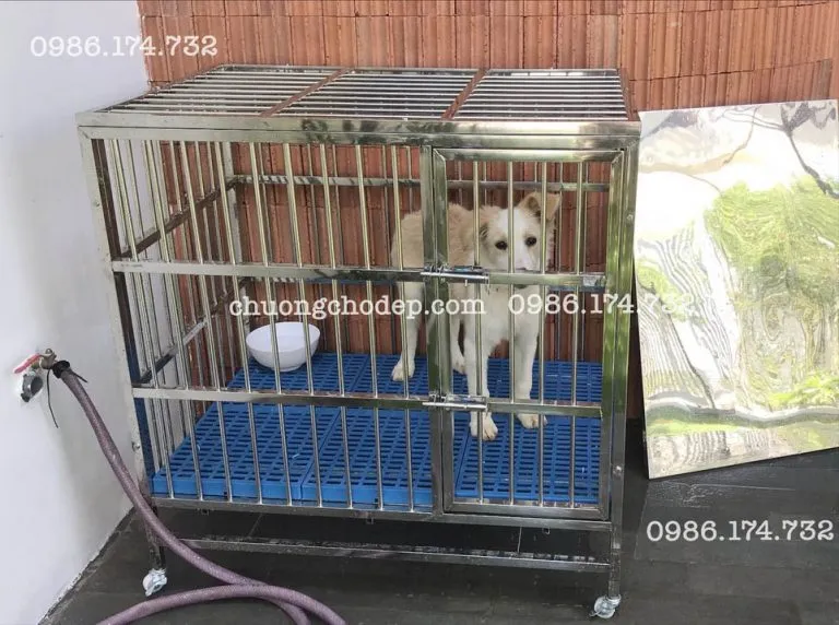 Khách hàng sử dụng chuồng chó T95 cho giống chó lớn