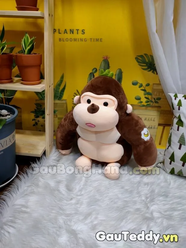 Khỉ Bông Cơ Bắp