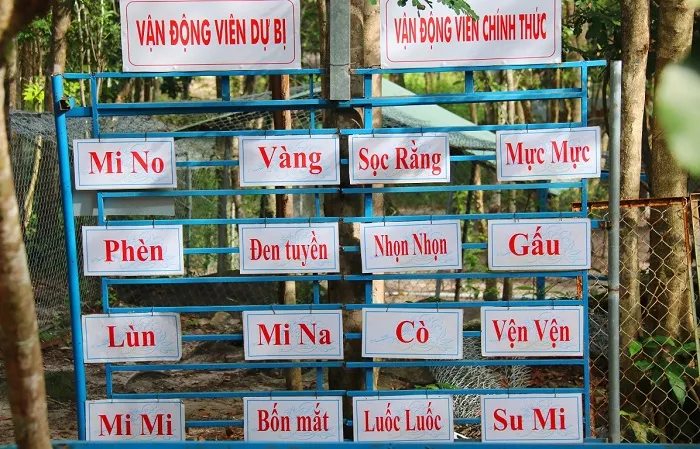 Khu huấn luyện cho những vận động viên "khuyển" tại trại chó giống Thanh Nga