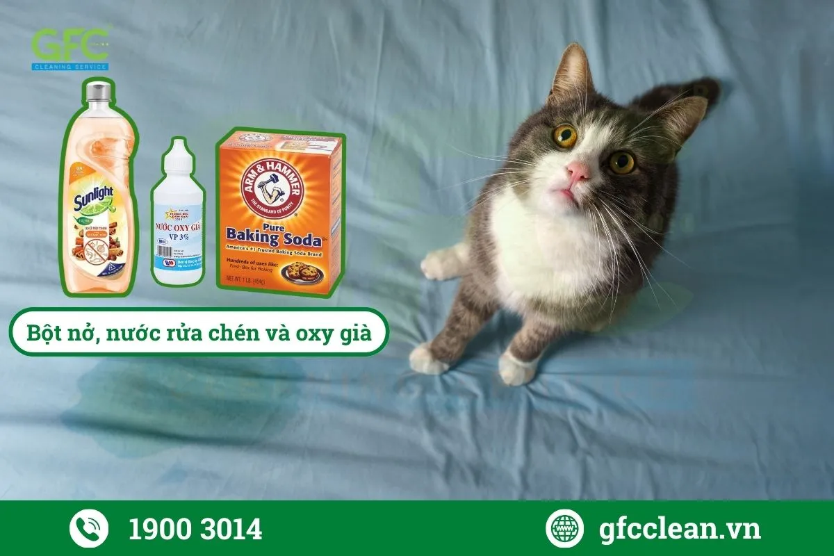 Bộ ba khử mùi khai nước tiểu mèo trên nệm, thảm, ghế hiệu quả