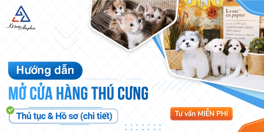 Mở Chuột Hamster An Toàn Với Các Thiết Kế Chuồng Hiện Đại
