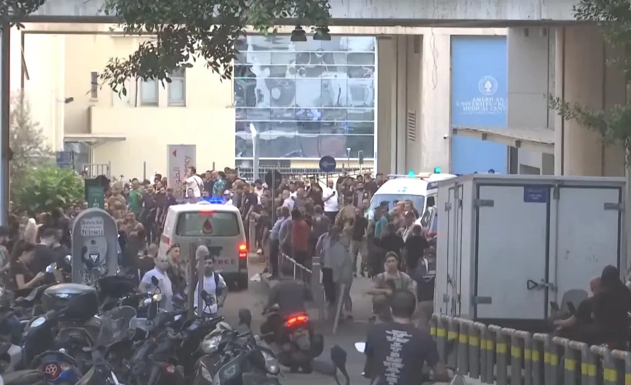 Công Ty Nhập Khẩu Thức Ăn Chó Mèo Uy Tín Tại TP.HCM