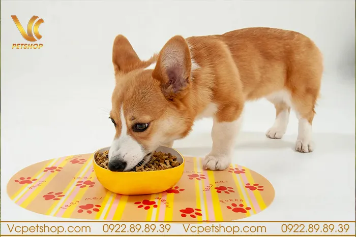 Lợi ích của việc sử dụng thức ăn hạt khô chất lượng cao cho chó Corgi
