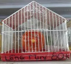 Lồng chuồng mini nuôi chuột hamster giá rẻ, thiết kế nhỏ gọn, đầy đủ tiện nghi cơ bản.