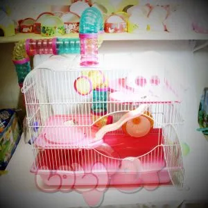 Lồng mèo to ống chui, mẫu loồng chuột hamster siêu đẹp kích thước lớn, phù hợp cho nhiều bé sinh hoạt.
