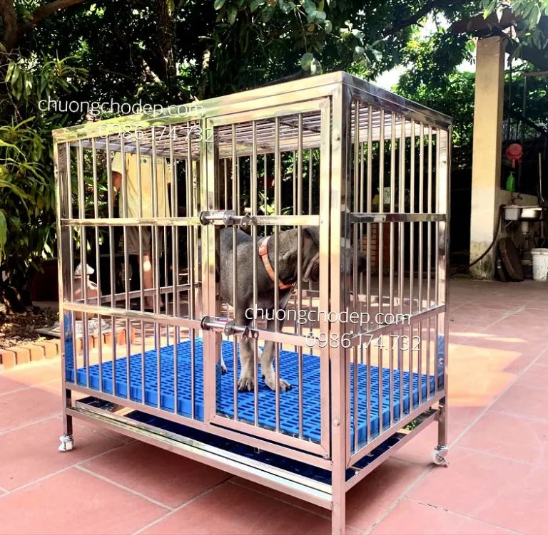 Lồng nuôi chó Phú Quốc size trung bình 15-20kg
