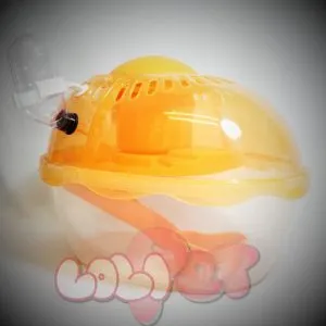 Lồng xách tay trứng hình vòm, lý tưởng cho việc di chuyển ngắn