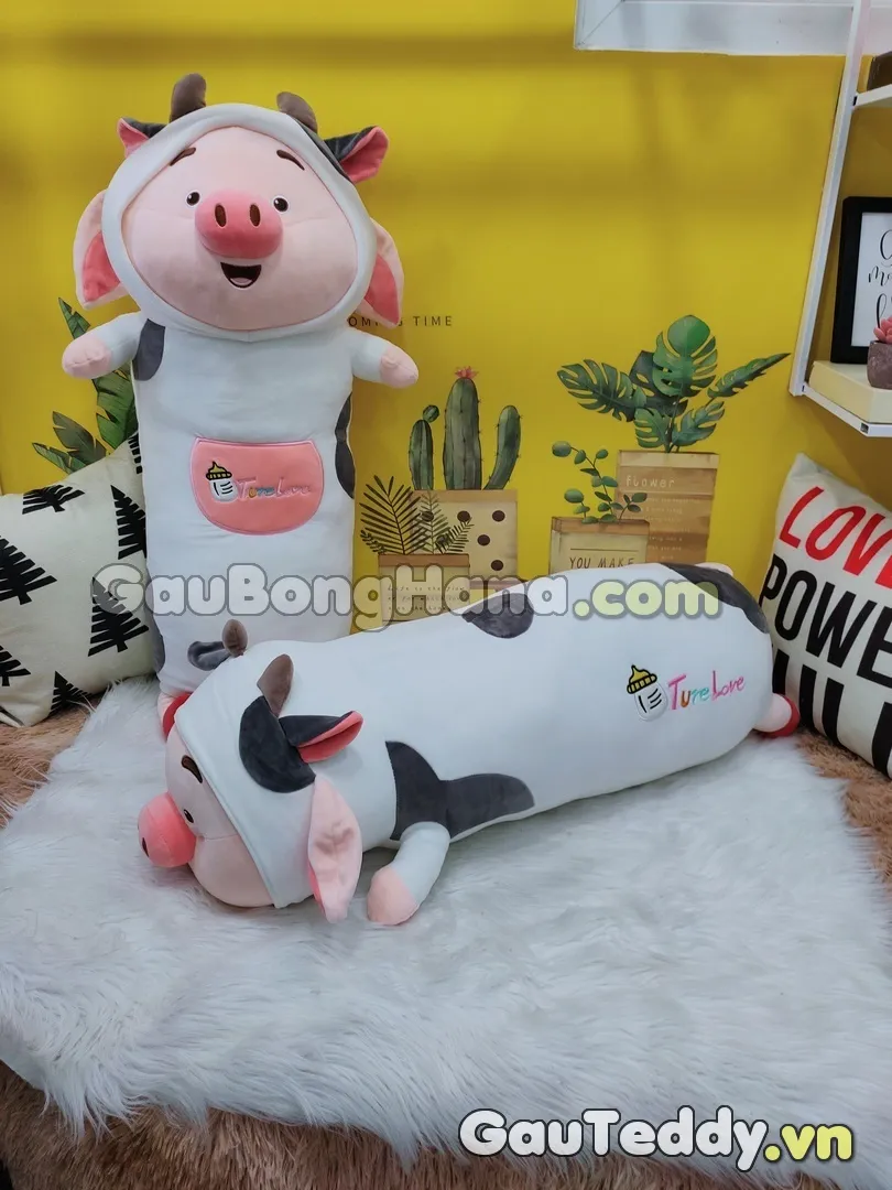 Lựa chọn giống chuột hamster Vũng Tàu: Đặc điểm và tính cách từng loại