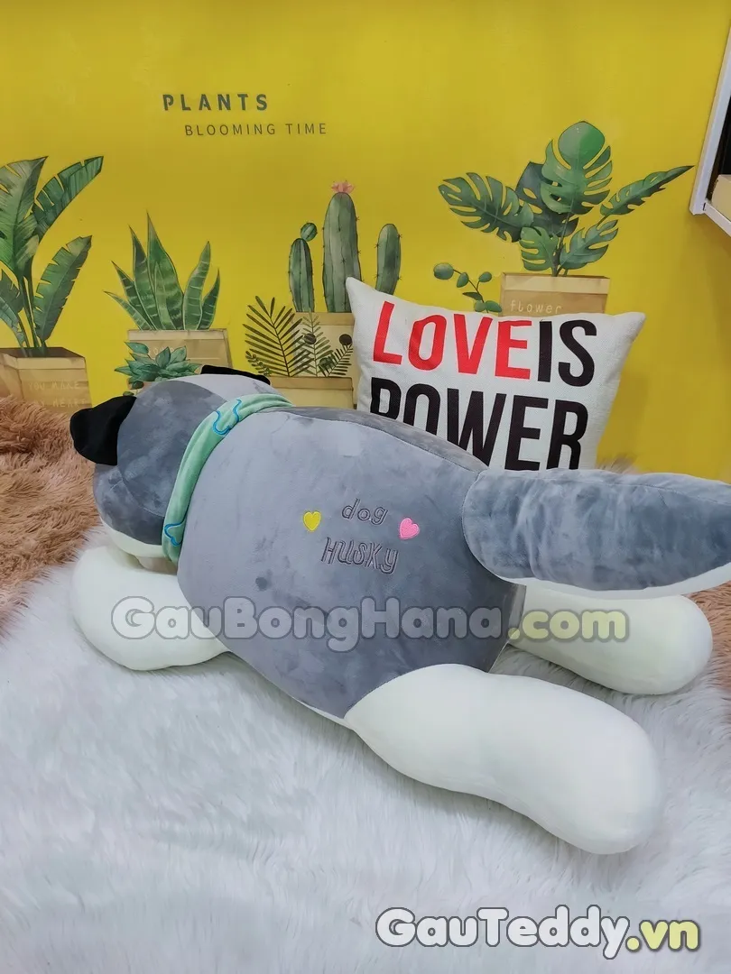 Lựa chọn thức ăn và đồ dùng cho chuột hamster Vũng Tàu: Cập nhật các mẫu mã mới nhất