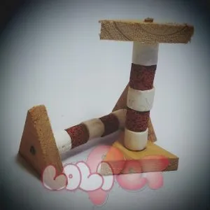 Mài răng đá gỗ, dụng cụ giúp GP giữ răng khỏe mạnh