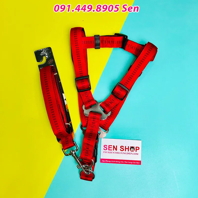 Màu Sắc Thời Trang Của Phụ Kiện Đi Kèm Quần Áo Cho Chó Alaska