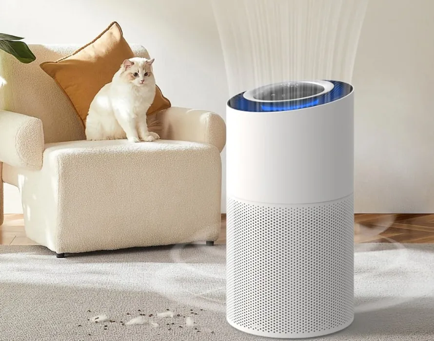 Máy Lọc Không Khí Có Hút Được Lông Mèo Không? Giải Đáp Chi Tiết