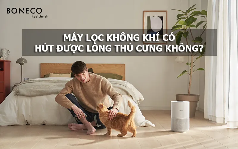 Máy Lọc Không Khí Có Hút Được Lông Mèo Không? Giải Đáp Chi Tiết