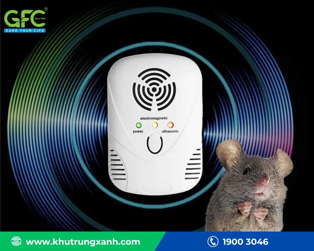Máy phát sóng siêu âm là thiết bị hiện đại để đuổi chuột chù mà không cần giết hại