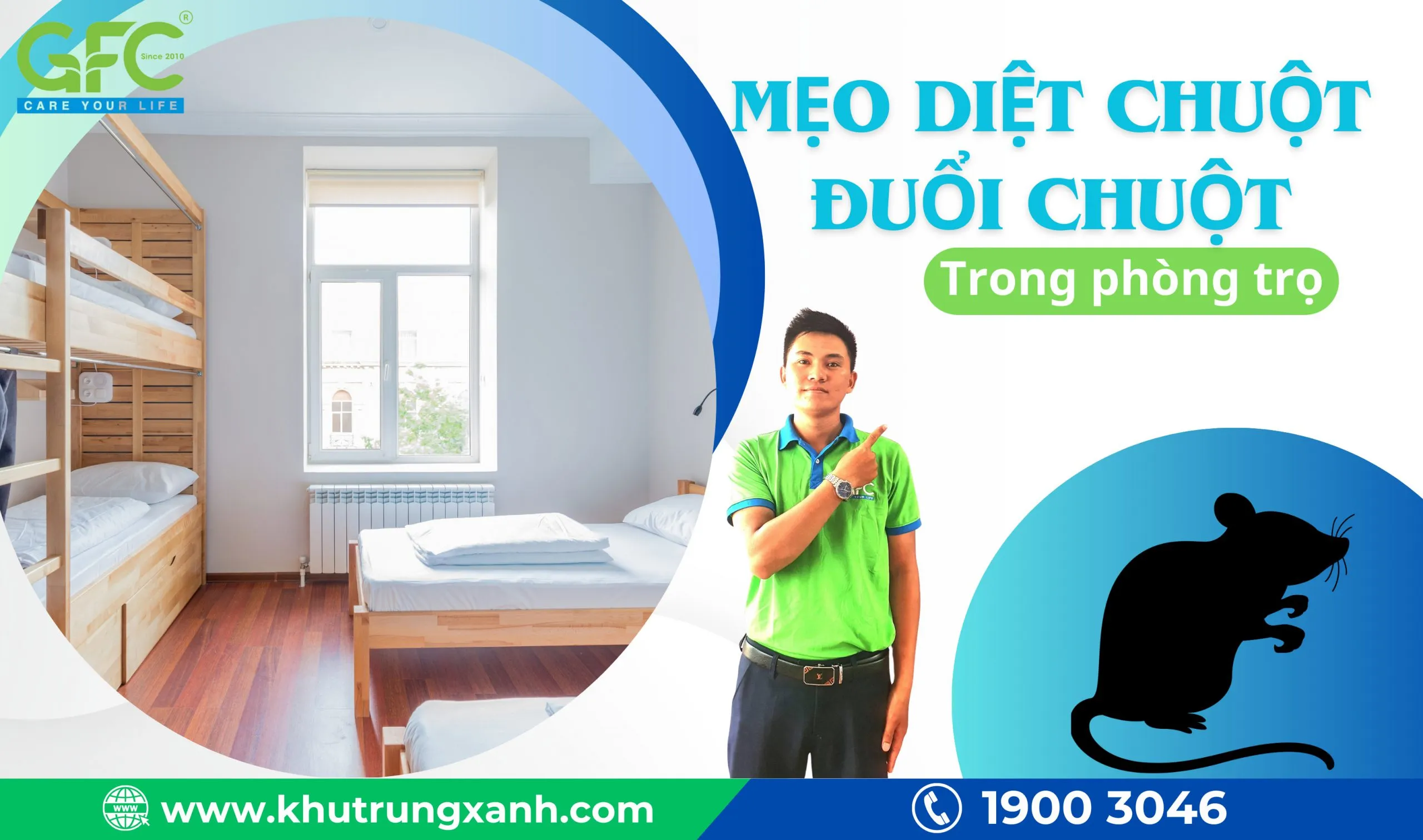 Mẹo diệt chuột, đuổi chuột trong phòng trọ, nhà trọ