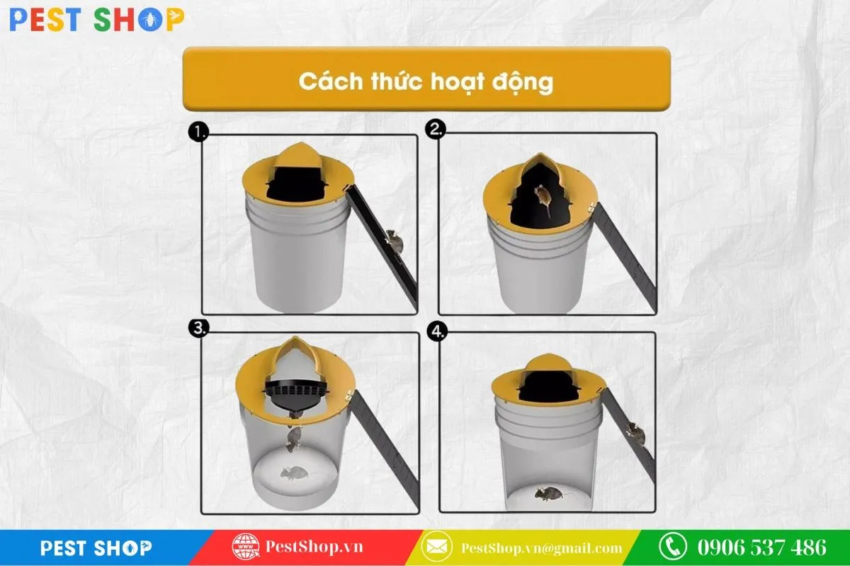 Minh họa cơ chế hoạt động hiệu quả của bẫy thùng xoay diệt chuột