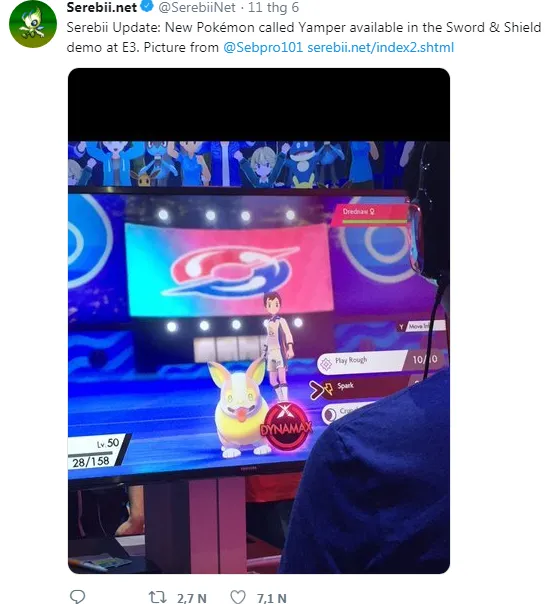 Minh họa về cách huấn luyện chó Corgi di chuyển an toàn, tránh các hoạt động gây hại cho cột sống.