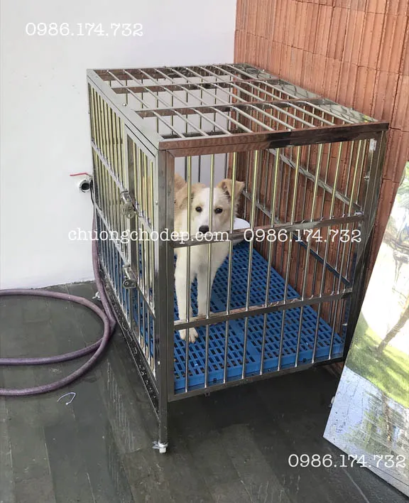 Mô hình chuồng chó lắp ghép inox T95 sau khi hoàn thiện